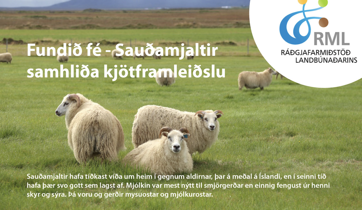 Möguleikar á að auka árstekjur sínar