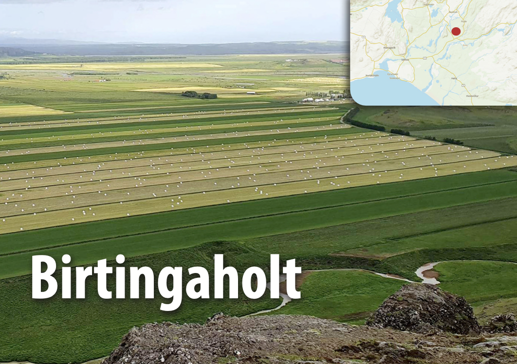 Birtingaholt