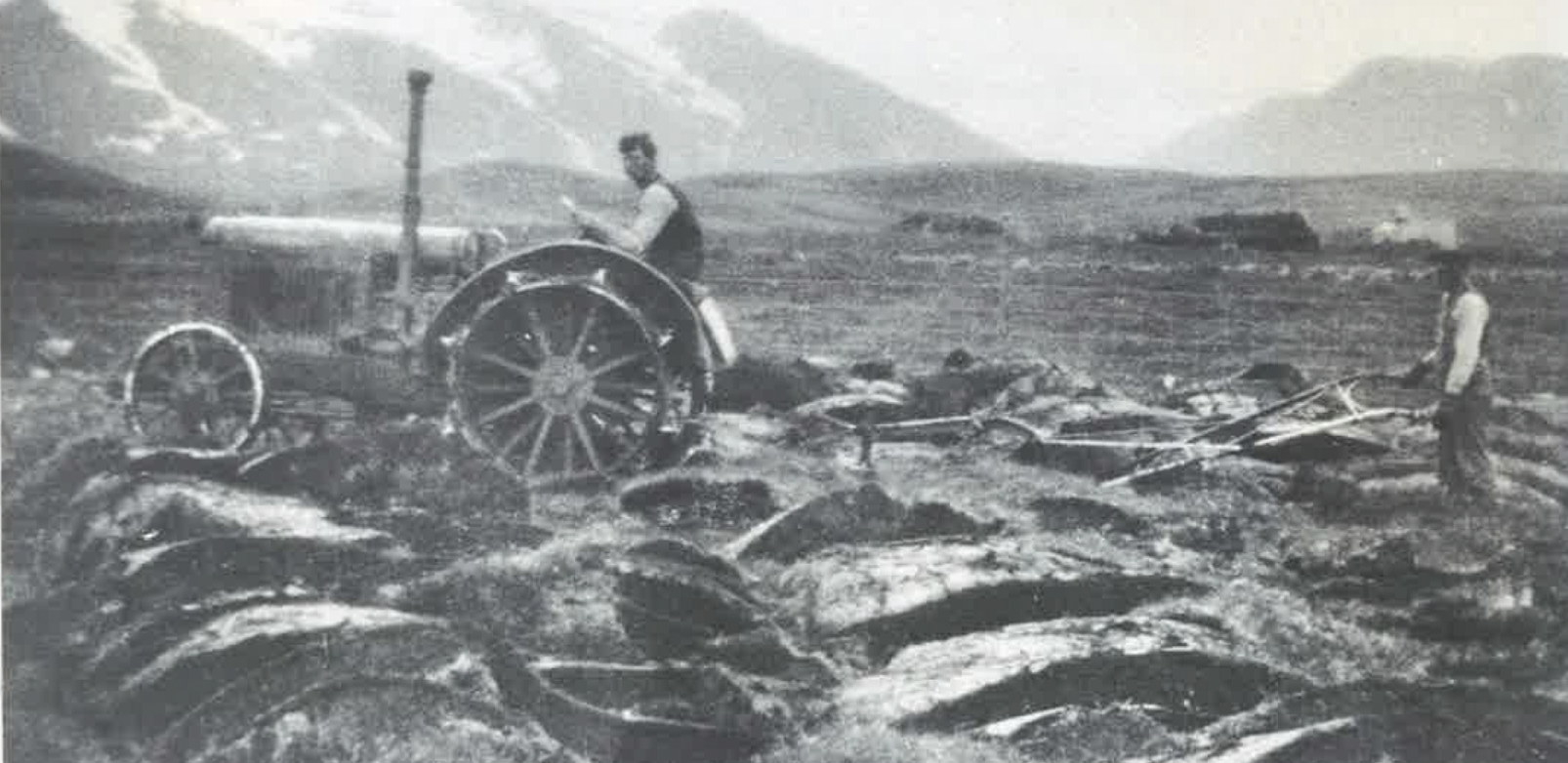 Plægt með International dráttarvél