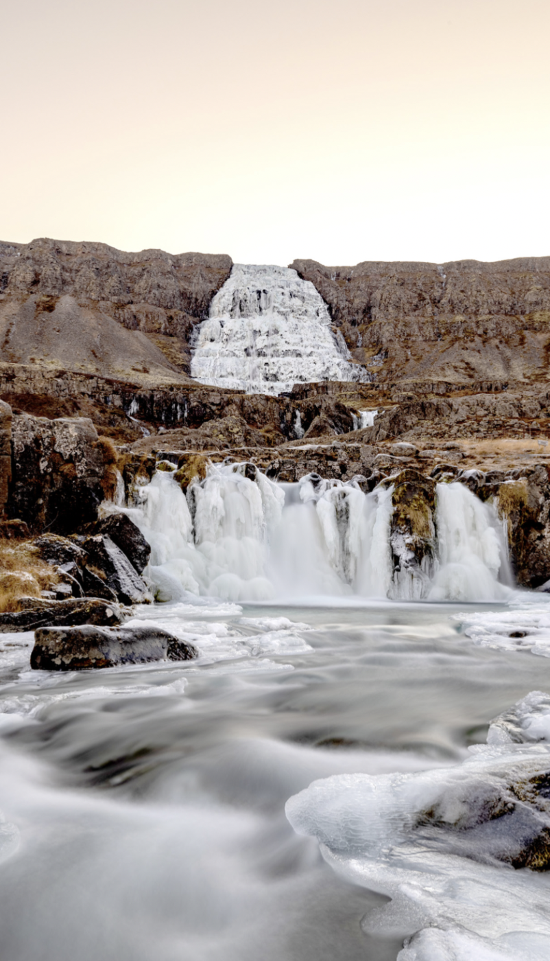 Áhættumat erfðablöndunar – hvað næst?