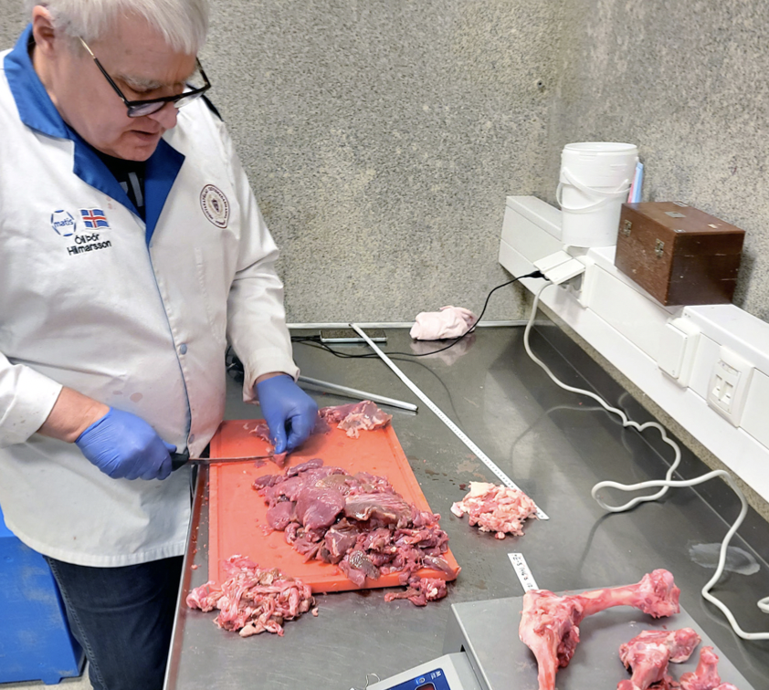 Greining á næringargildi og nýtingarhlutfalli lambakjöts