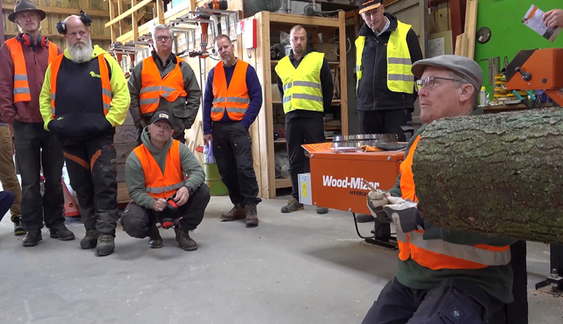 Danskar heiðar viði vaxnar