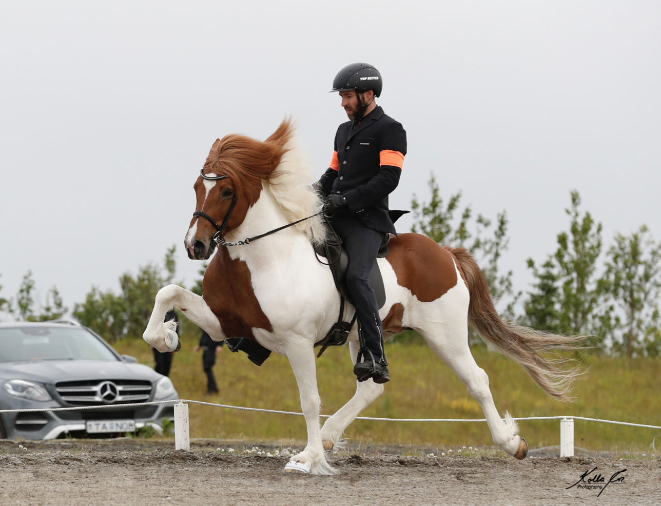 Stóðhestar sem hlutu viðurkenningu fyrir afkvæmi haustið 2022