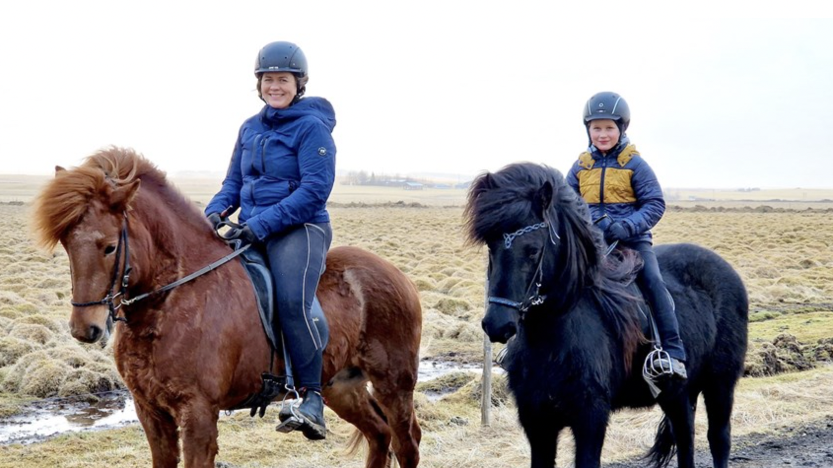 Hugfangin af hestinum