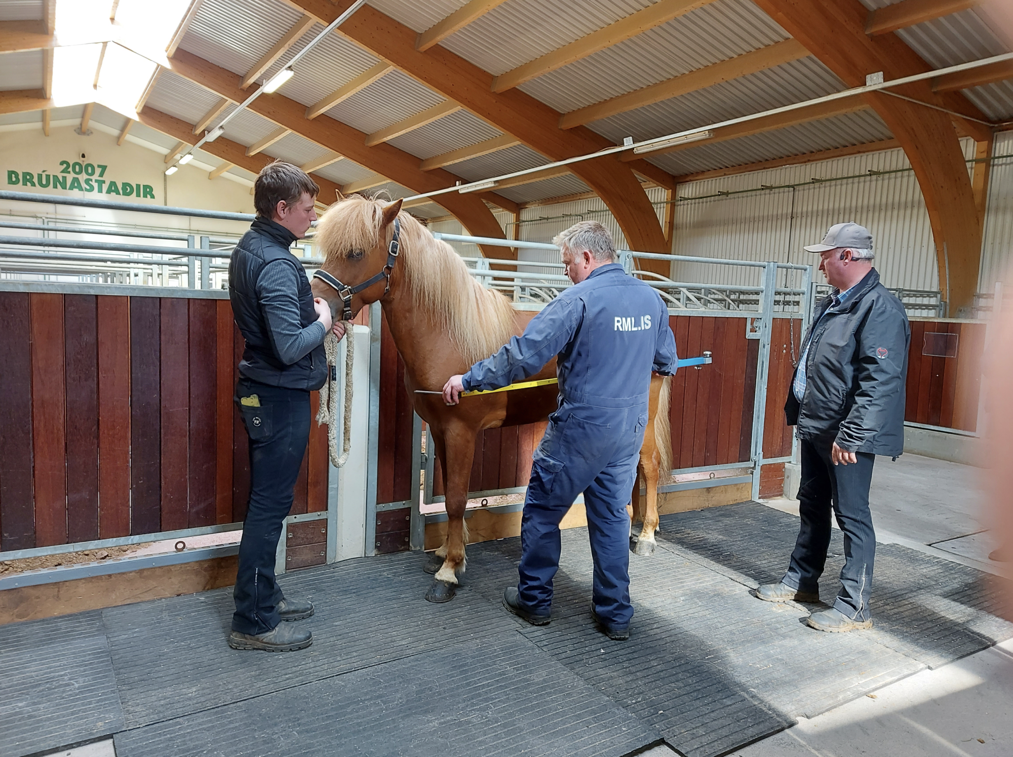 Skráningar á kynbótasýningar vorsins
