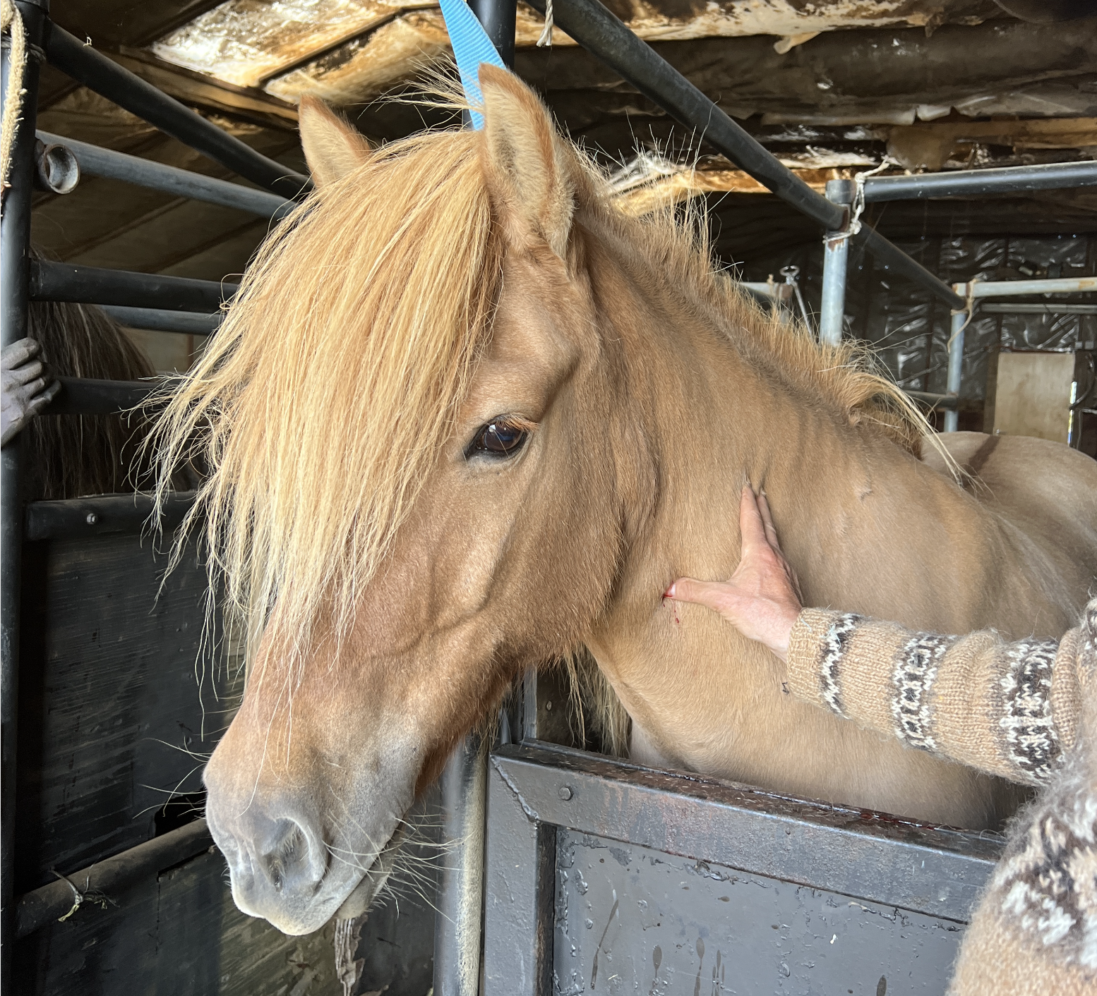 Áminningarbréf frá ESA