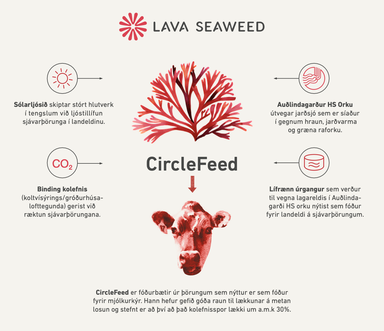 Mun metanlosun frá mjólkurkúm brátt heyra sögunni til?