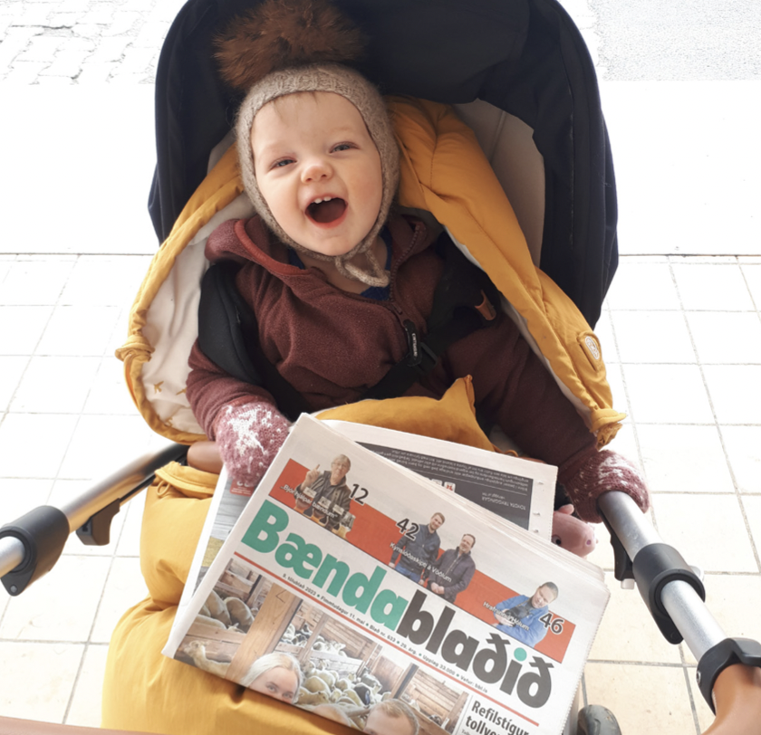 Lengi býr að fyrstu gerð