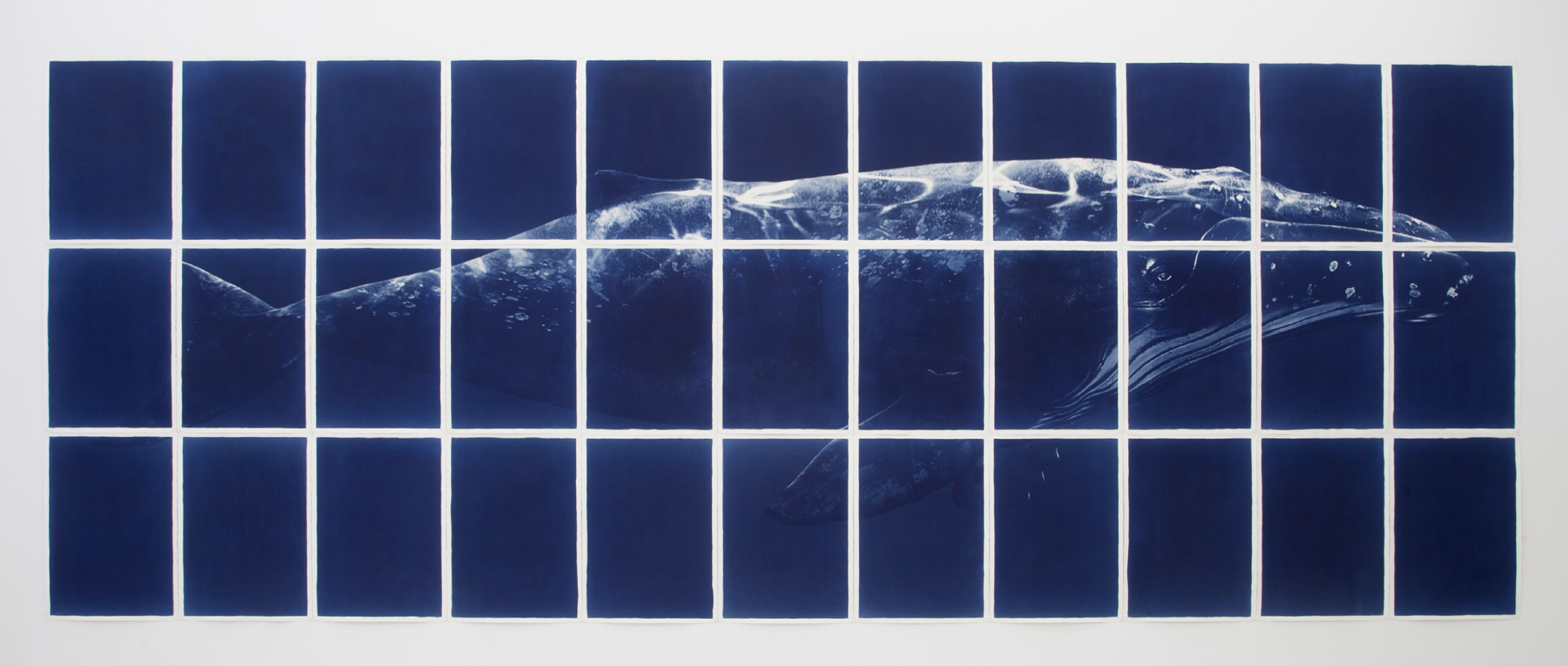 Hafið á öld mannsins