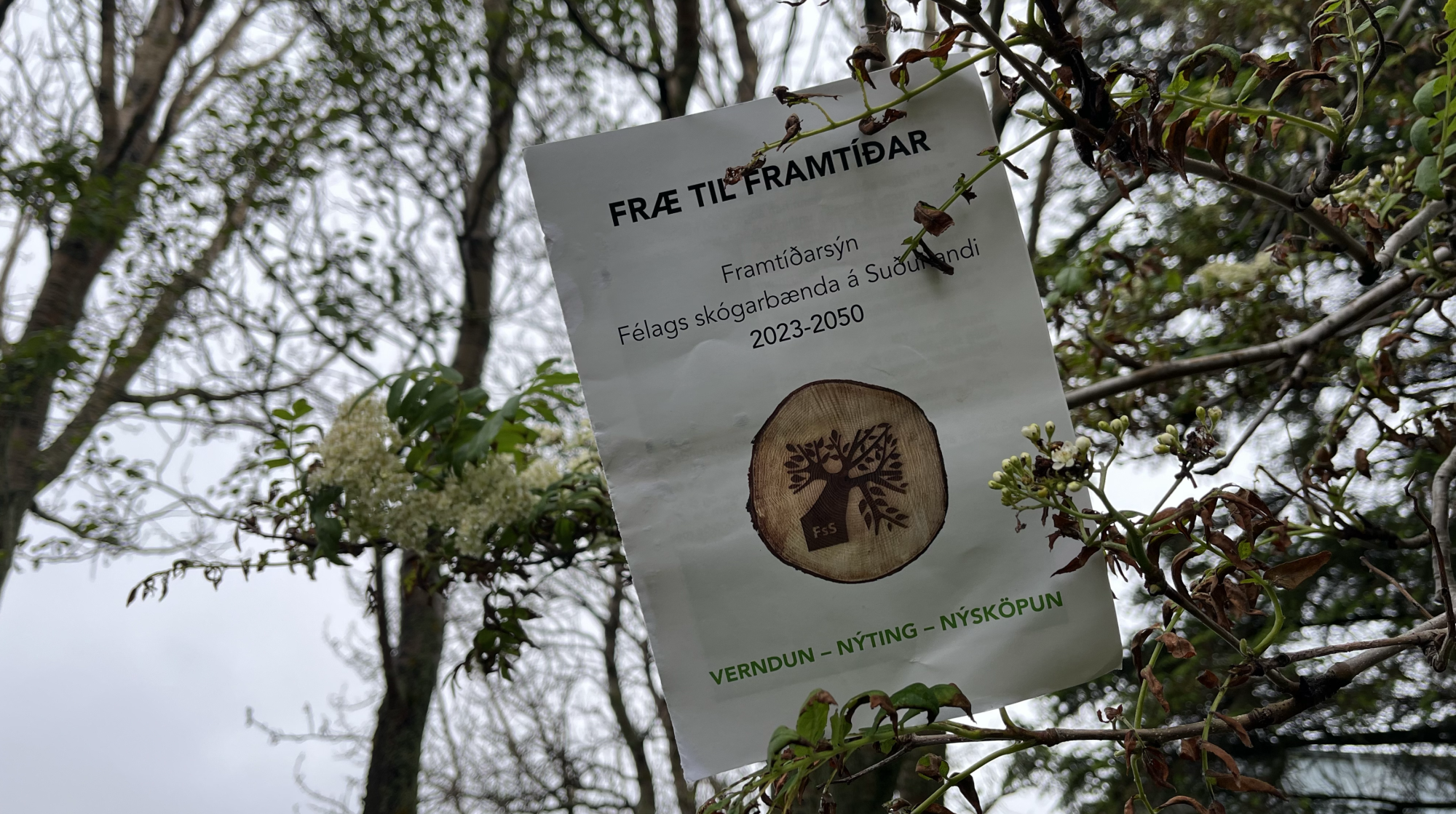 Fræ til framtíðar