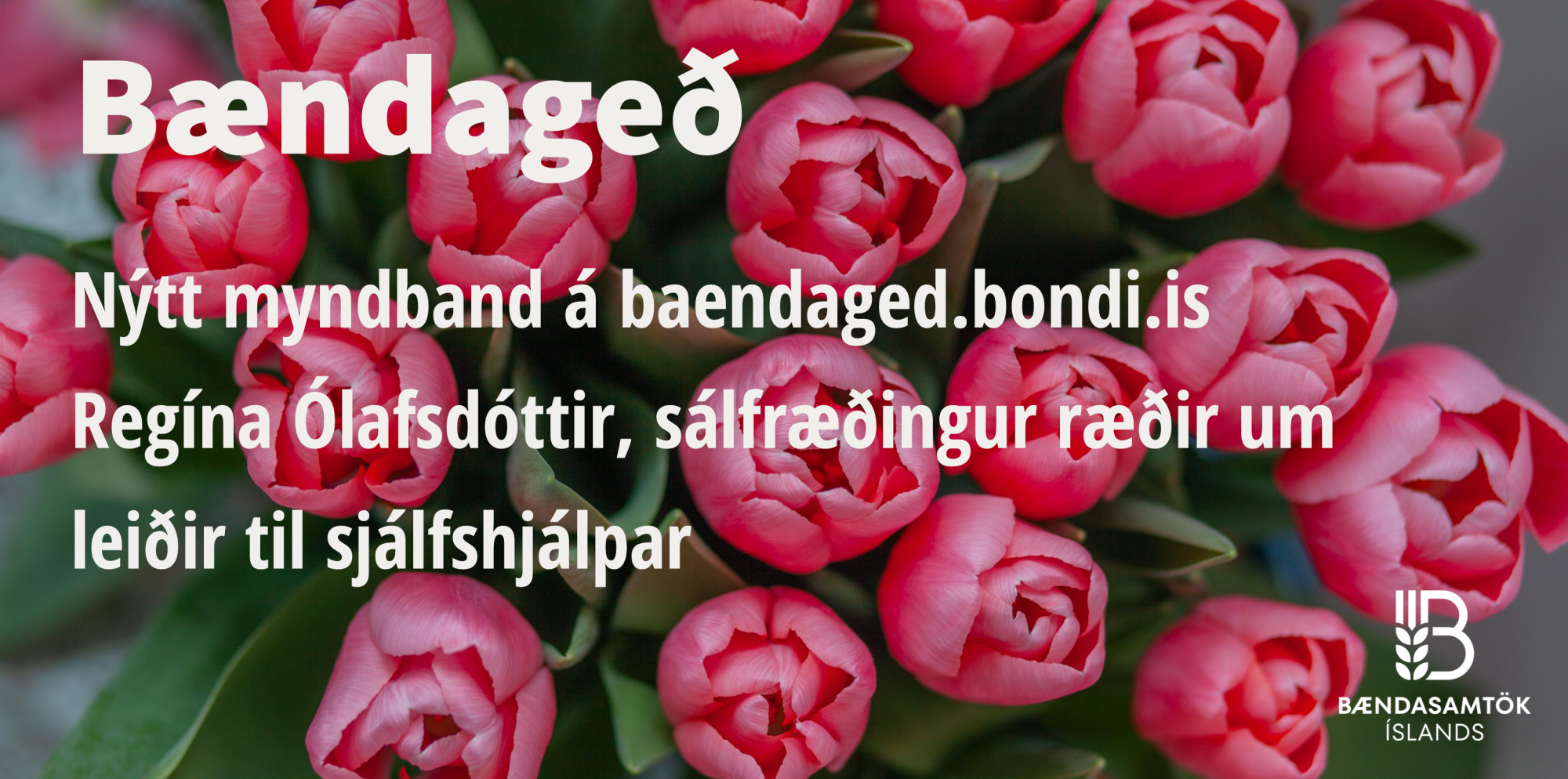 Handbók hugans og hugsanaskekkjur