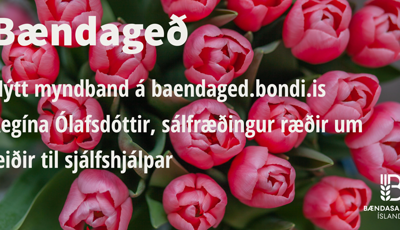 Handbók hugans og hugsanaskekkjur