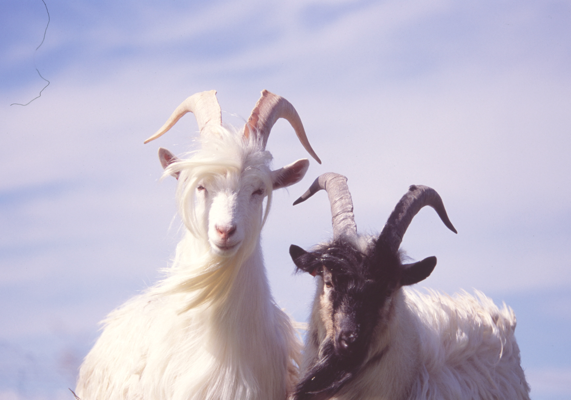 Um 8% fjölgun milli ára