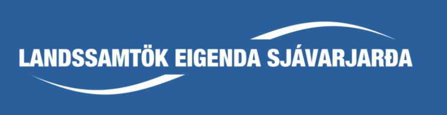 Eigendur sjávarjarða njóta eignaréttar innan netlaga og netlög teljast til eignar þeirra