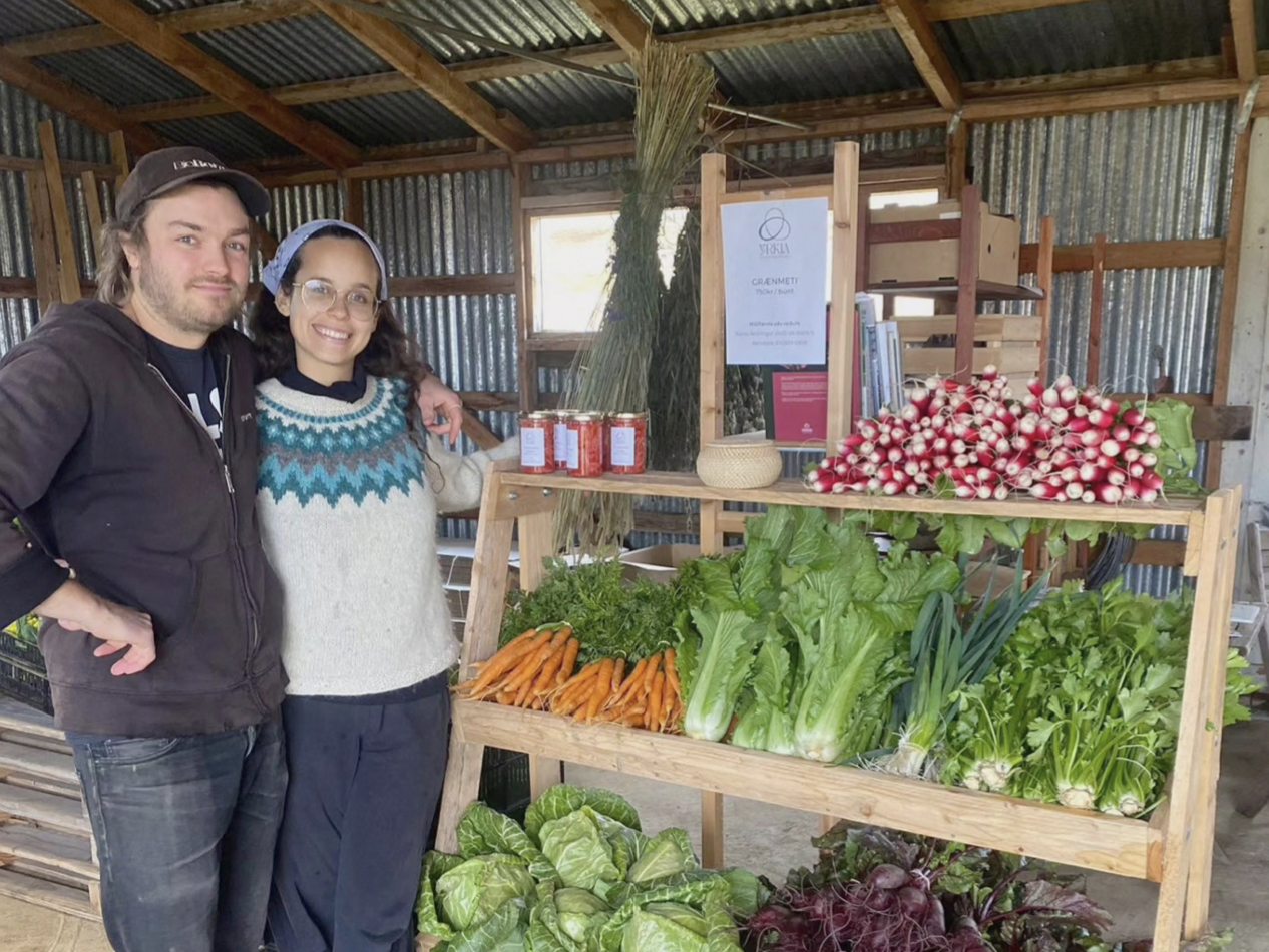 Fjórir viðburðir á Lífræna deginum