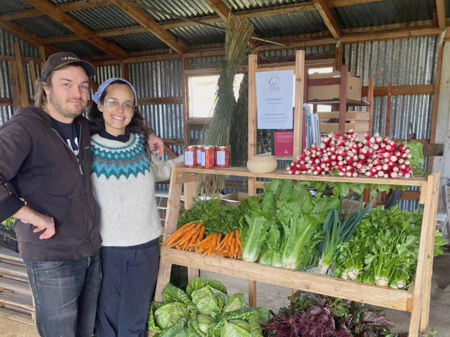 Vífill og Alejandra á Syðra-Holti í Svarfaðardal tóku á móti gestum úr sveitinni á Lífræna daginn, stóðu fyrir kynningum og fyrirlestrum, voru með smakk og seldu vörur. Þau buðu upp á blómkálssúpu með alls konar fersku og gerjuðu grænmeti, allt saman úr þeirra eigin lífrænt vottuðu afurðum.