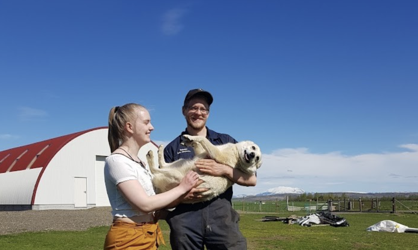 Horfir fram á veginn