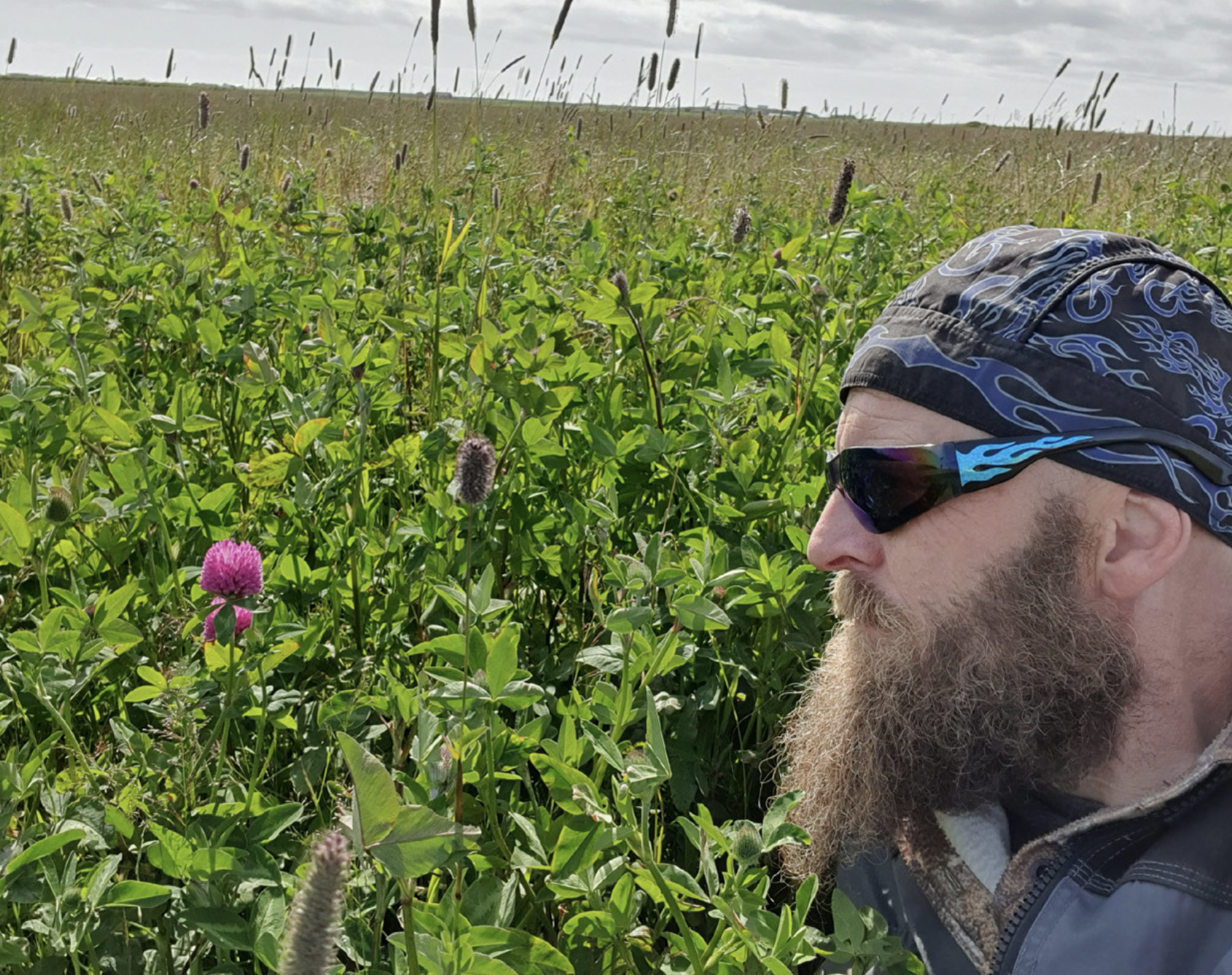 Leitar að gómsætum og sjúkdómaþolnum kartöfluyrkjum