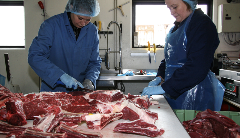 Viðbótarstuðningur við nautakjötsframleiðendur