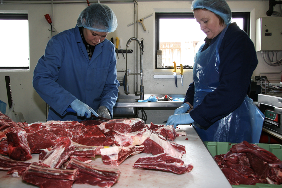 Viðbótarstuðningur við nautakjötsframleiðendur