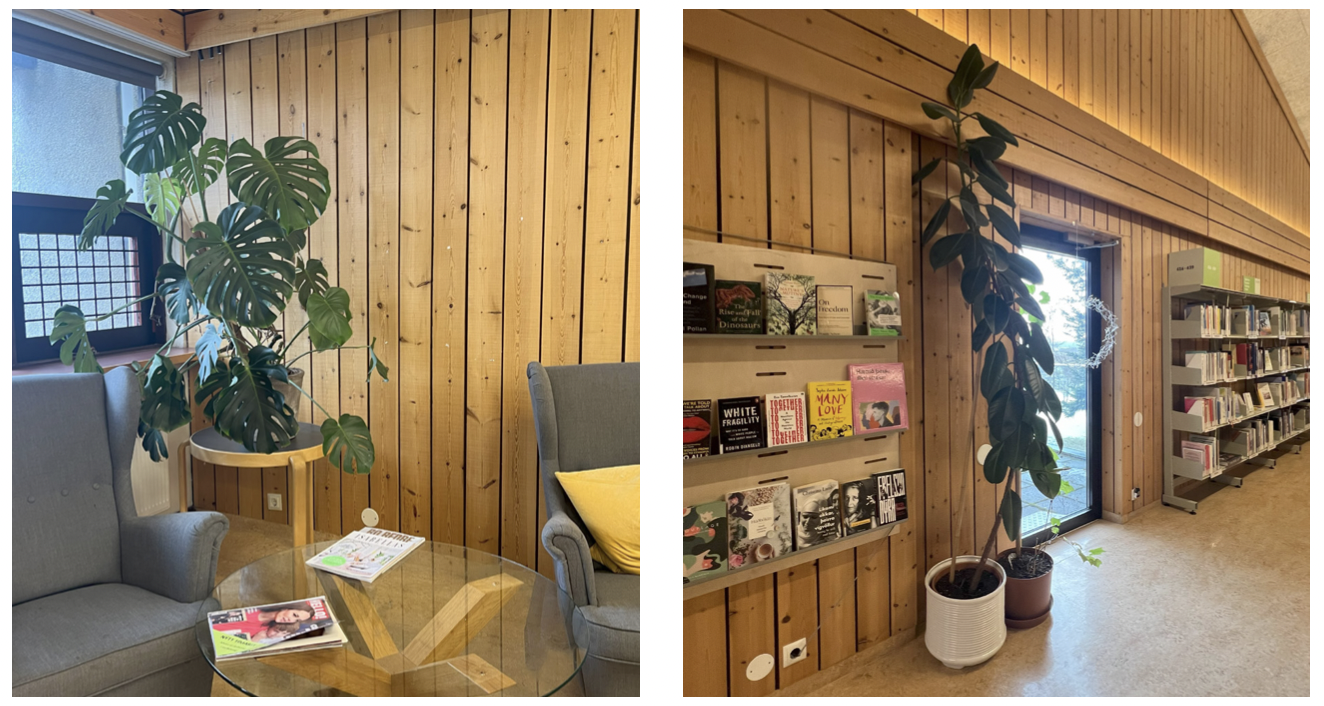 Fræ í frjóa jörð