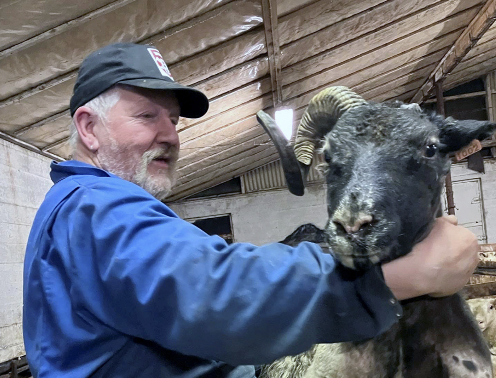 Furðuskepnan lifir góðu lífi