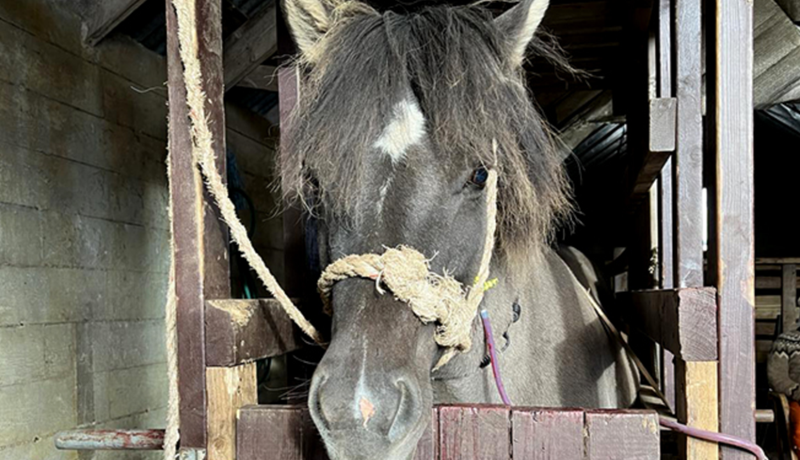 Ísteka í yfirburðastöðu