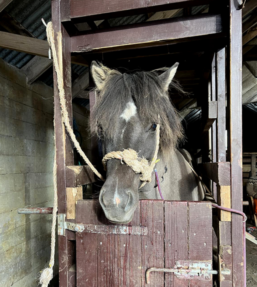 Samkeppniseftirlitið telur ólíklegt að blóðbændur geti beint viðskiptum sínum til annarra aðila þó að Ísteka haldi öðru fram.