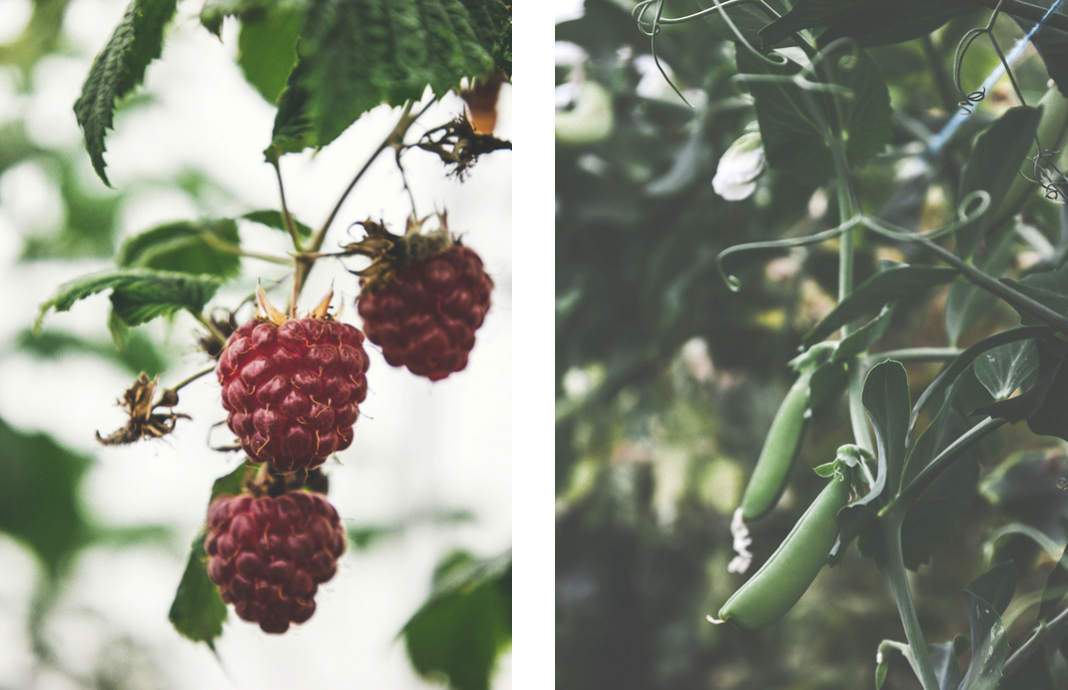 Elínborg í Breiðargerði nýr formaður