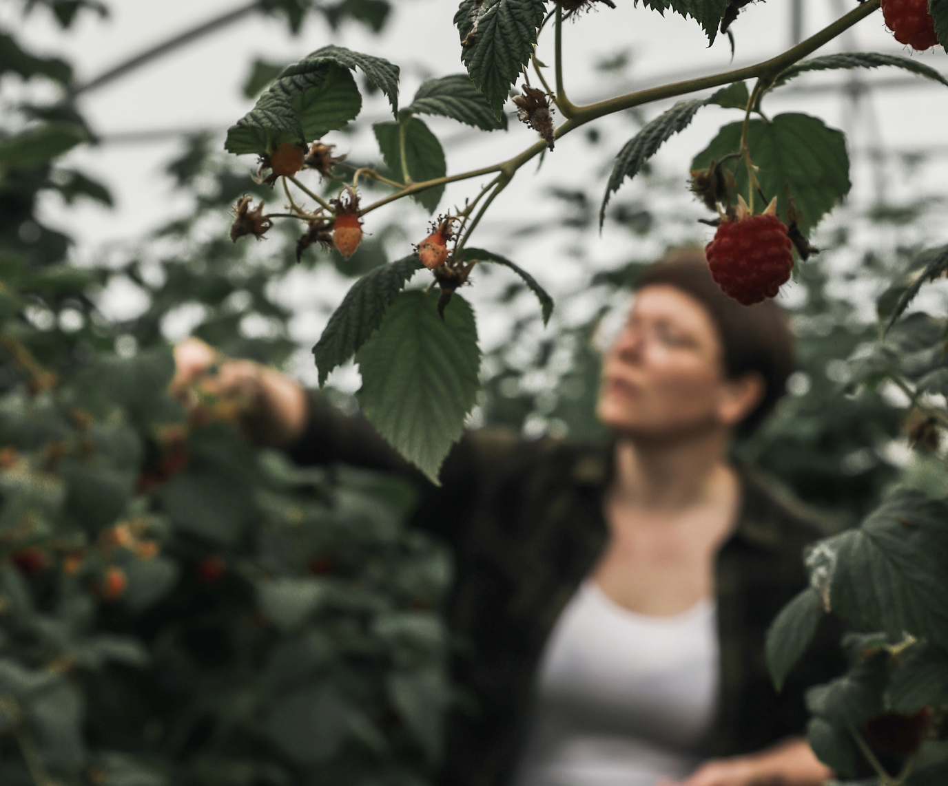 Starfinu fylgja forréttindi