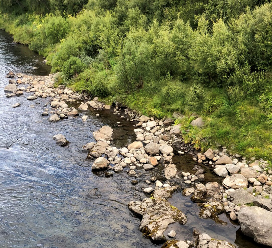 Endurheimt vistkerfi á landi og ferskvatnslíf