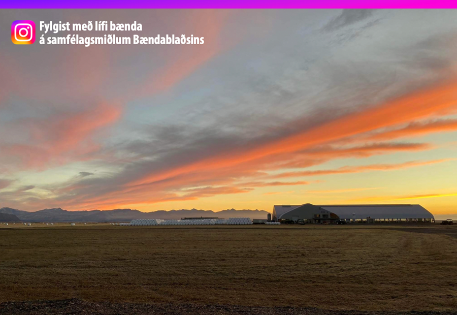 Bæjarstæði Flateyjarbúsins á Mýrum á fallegu kvöldi.