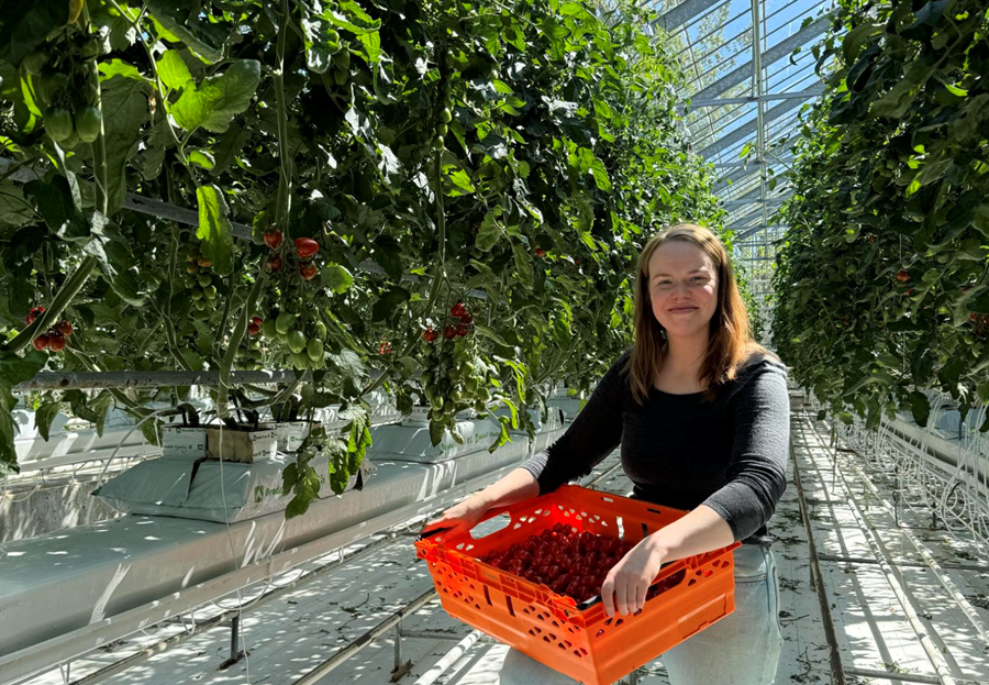 „Ég held að garðyrkjubændur vilji framleiða meira almennt og greinin sé tilbúin til þess að vaxa.“