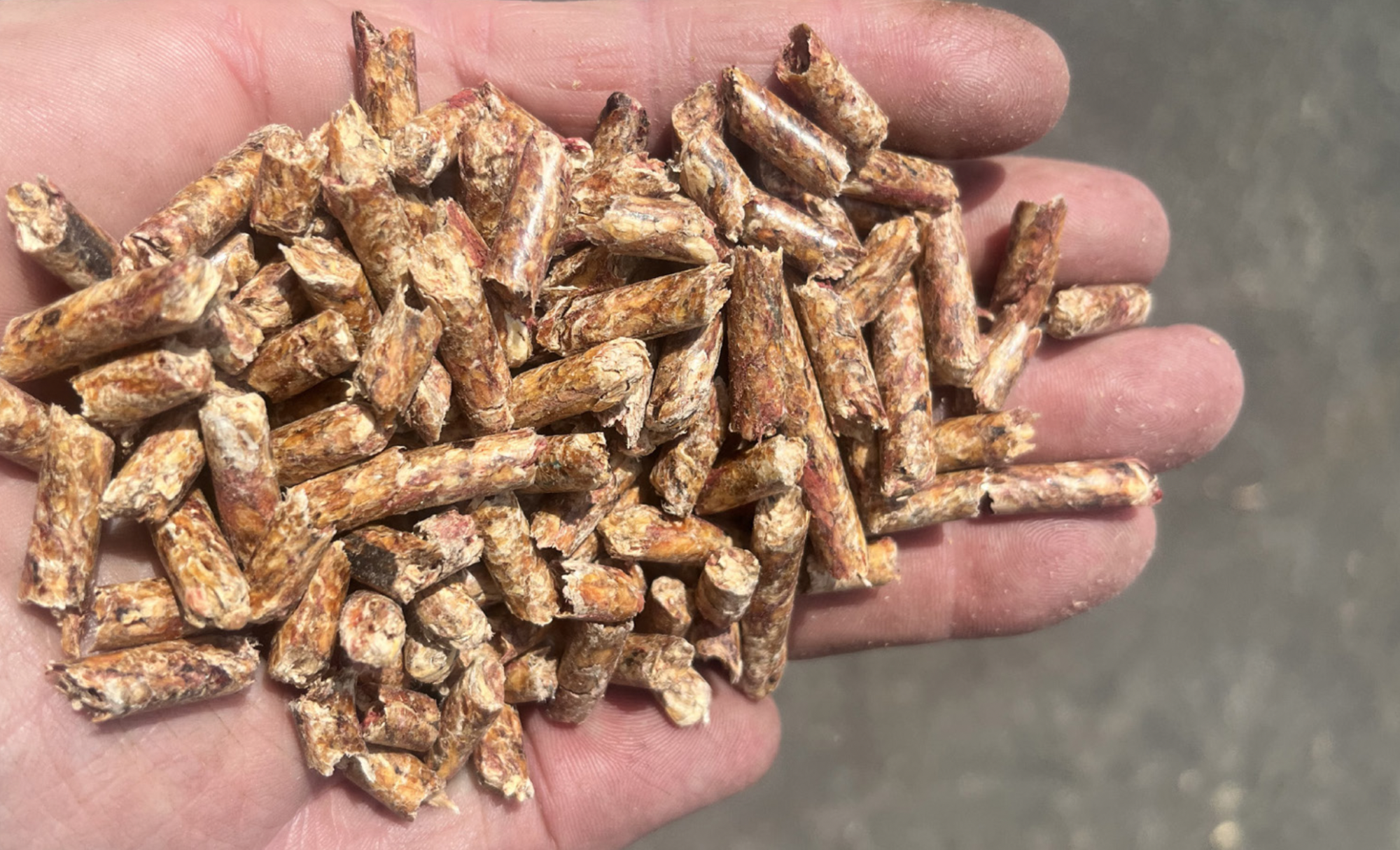 Kynding með viðarperlum úr íslensku lerki