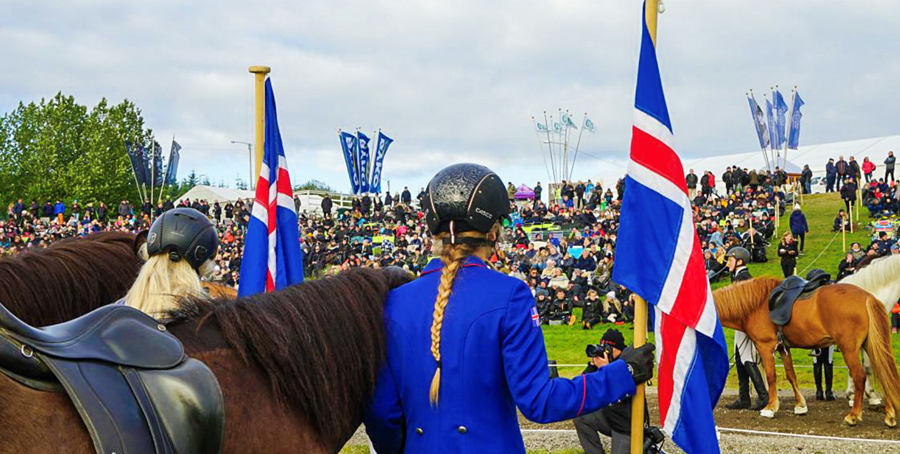 Fimm hundruð hross munu koma fram á Landsmótinu í ár í gæðingakeppni, á kynbótasýningum, í íþróttakeppni, hópreiðum og sýningum ræktunarbúa.