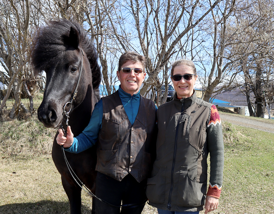 Metnaður í hrossaræktinni