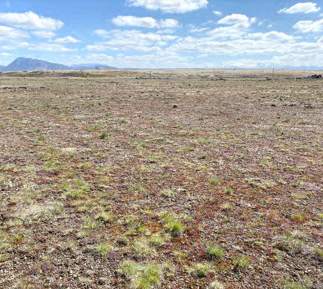 Kjötmjöl í lífrænan uppgræðsluáburð