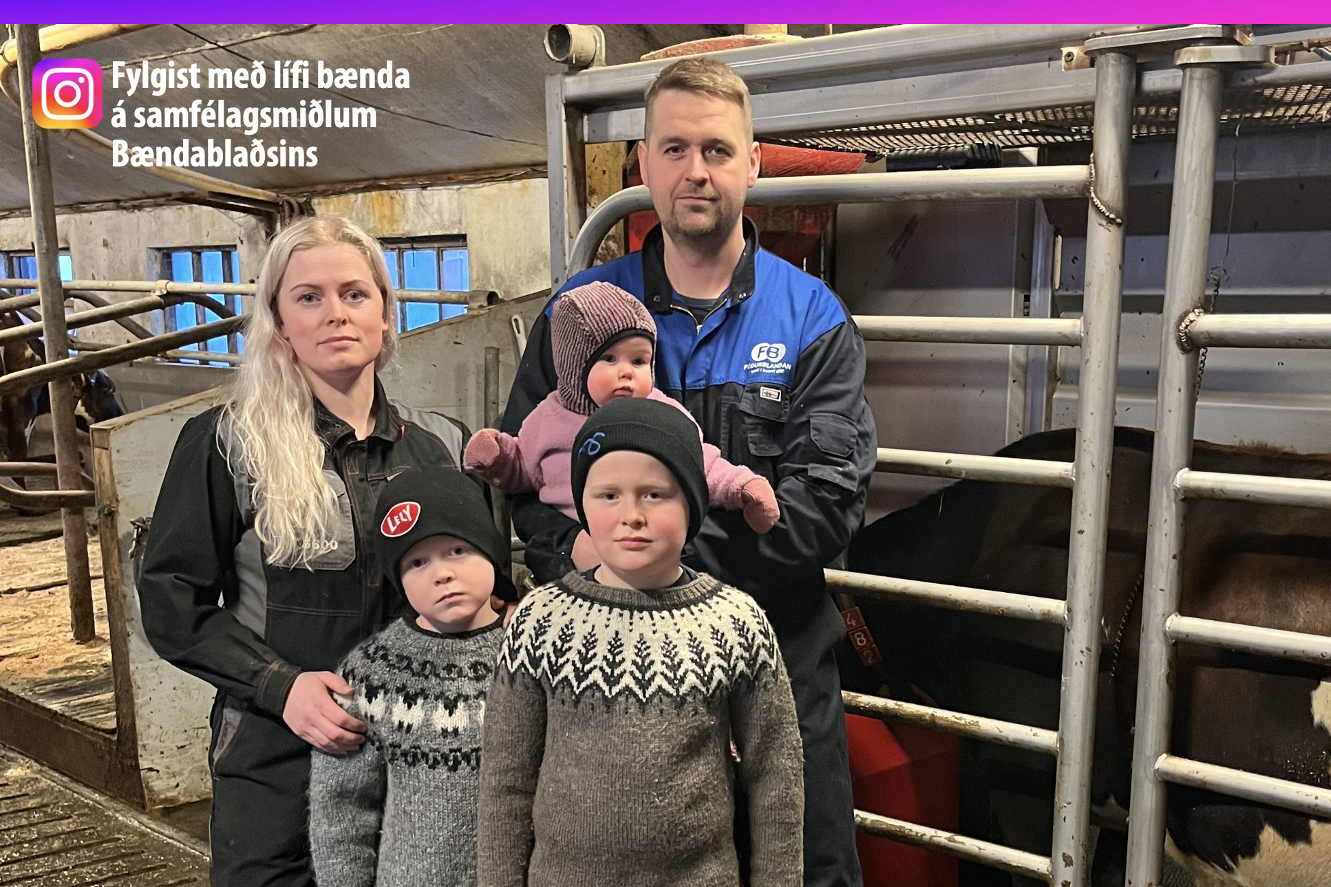 &#222;egar k&#253;rhausar komu saman