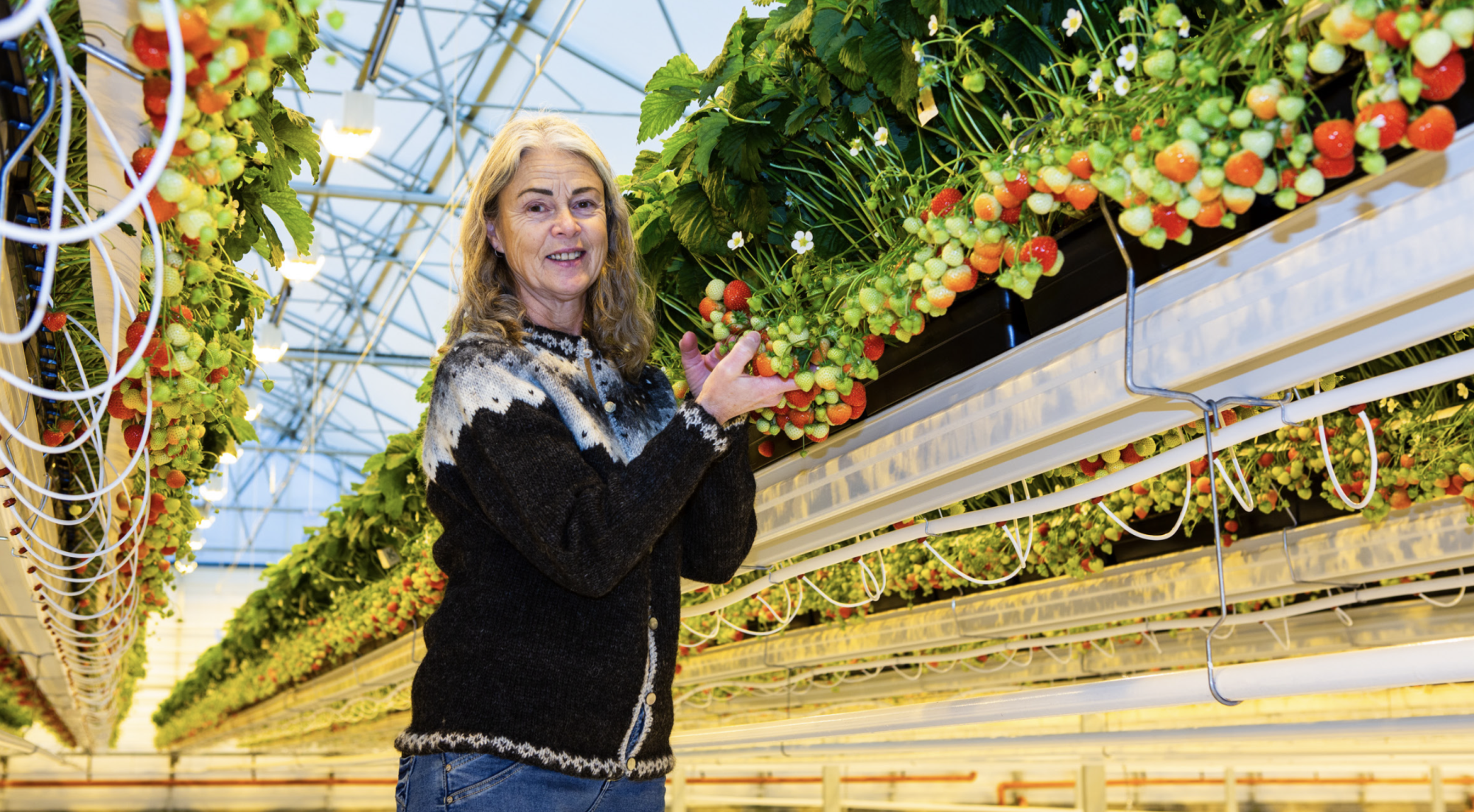 „Framtíðin er björt í garðyrkjunni“