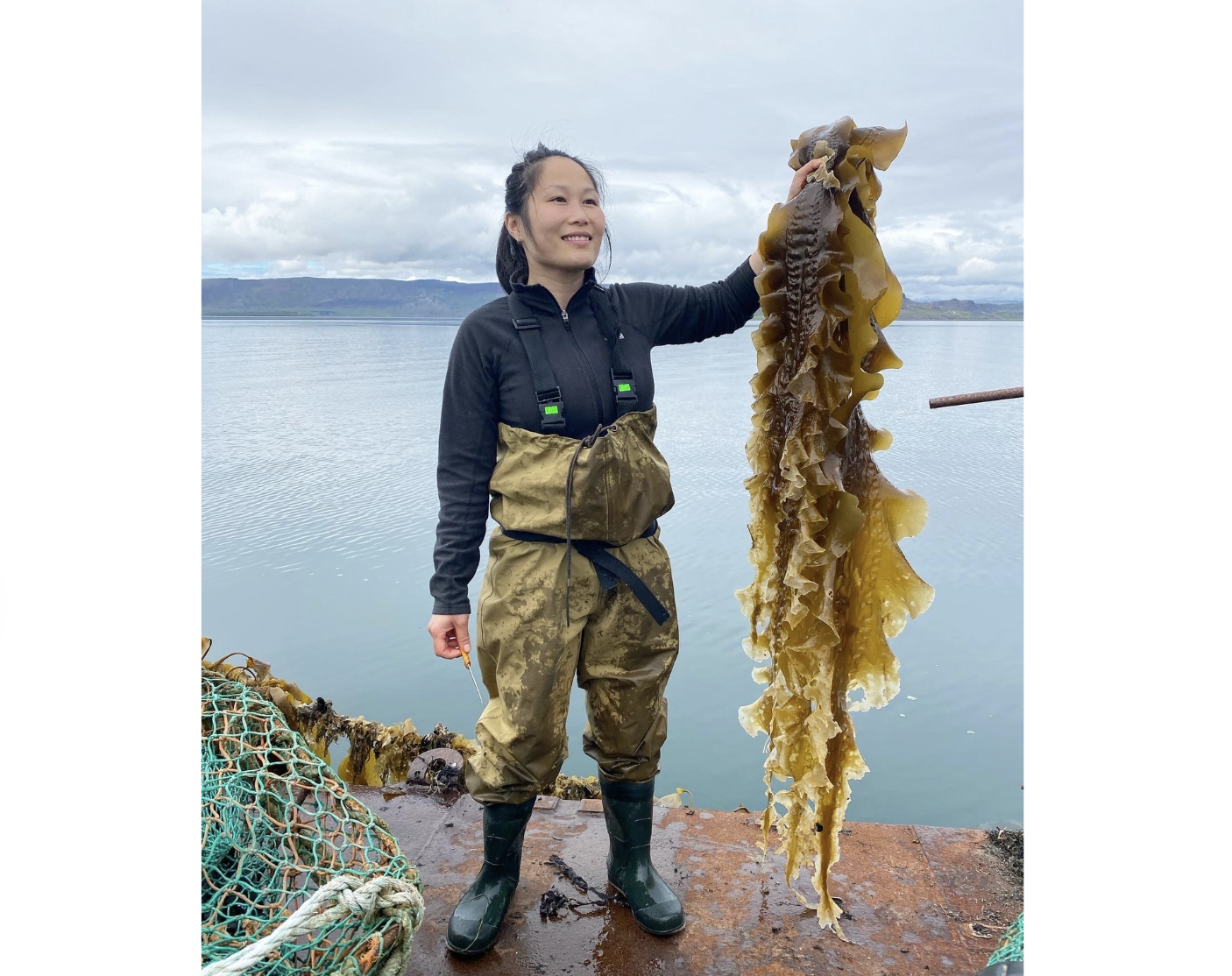 Samvinna &#254;vert &#225; landam&#230;ri