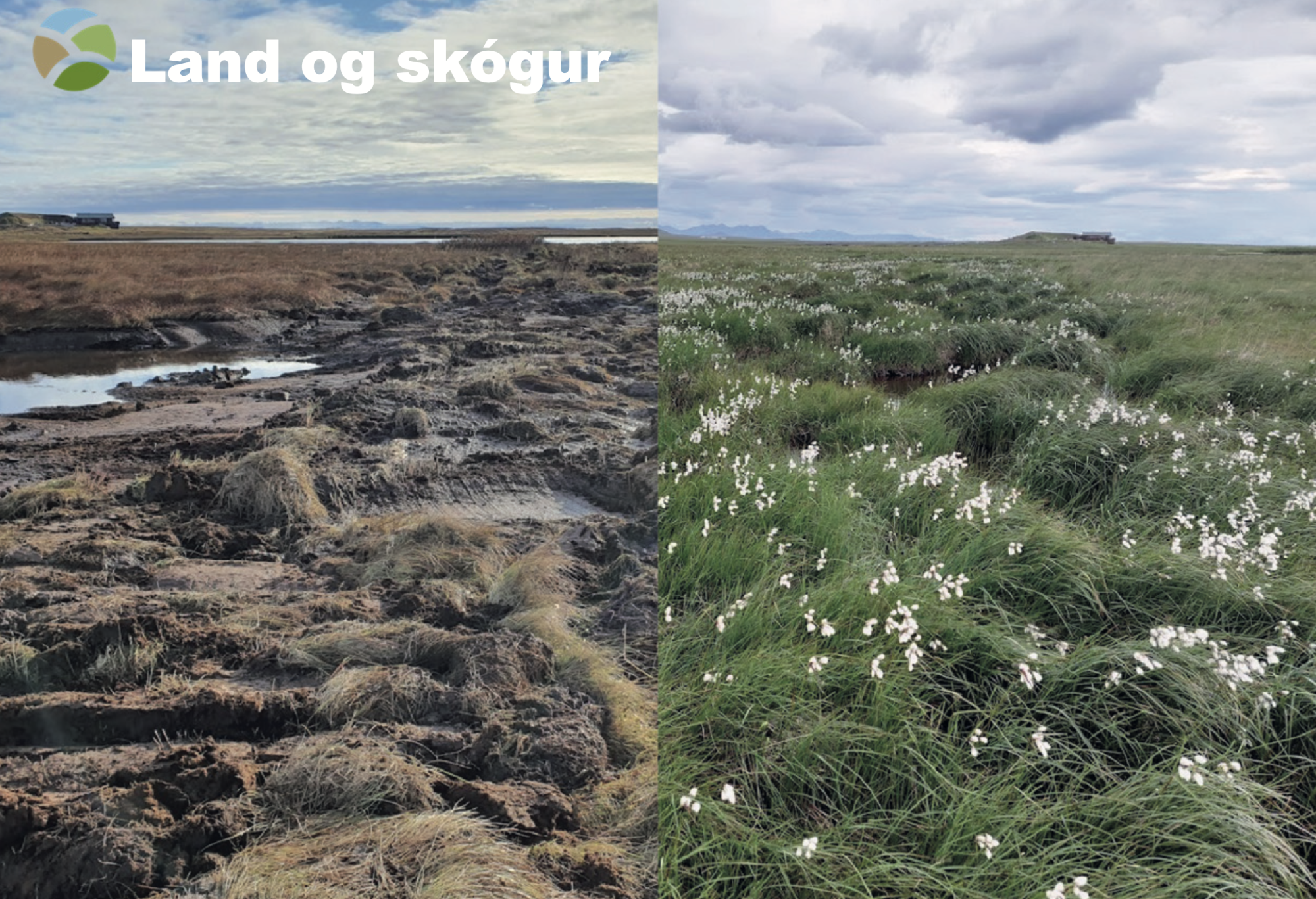 Hér er skurður um skurð frá mýri til mýrar