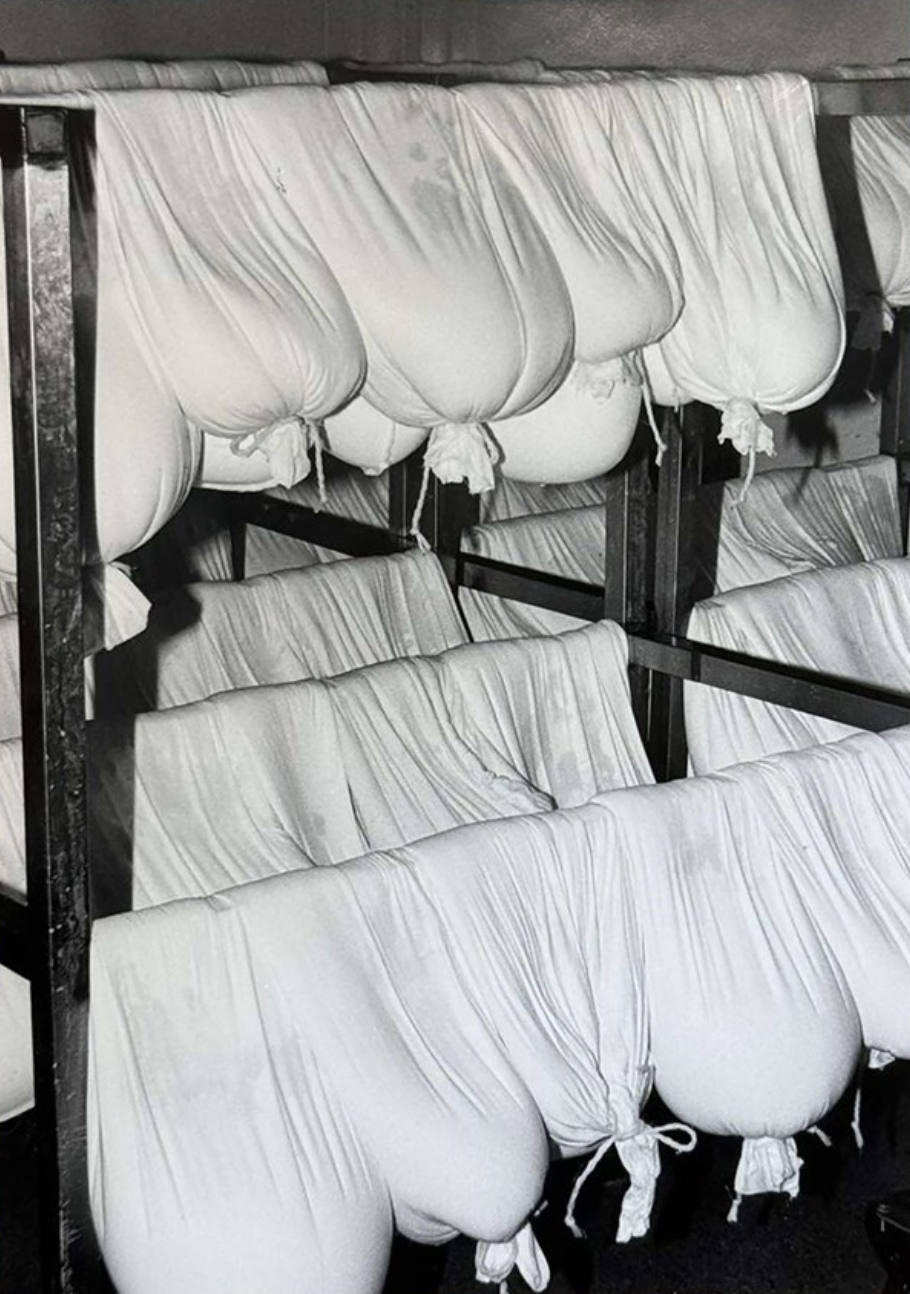 Frá Mjólkurbúi Borgfirðinga í Borgarnesi árið 1984.