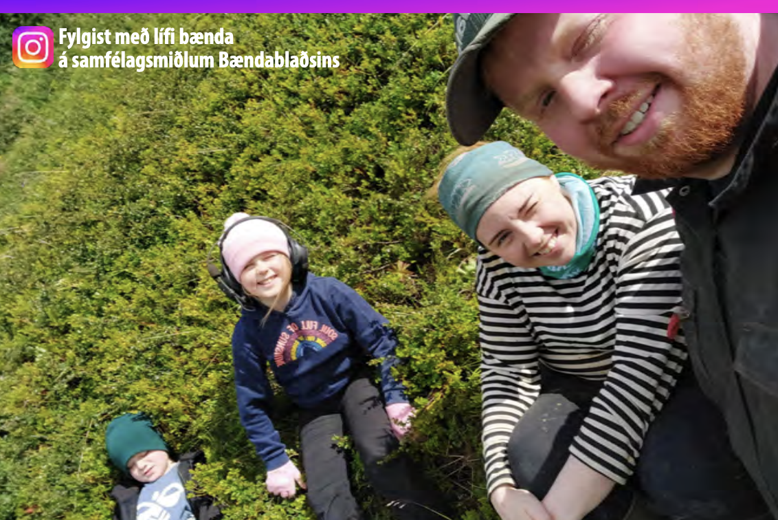 Hagr&#230;&#240;ing &#237; st&#230;kkun