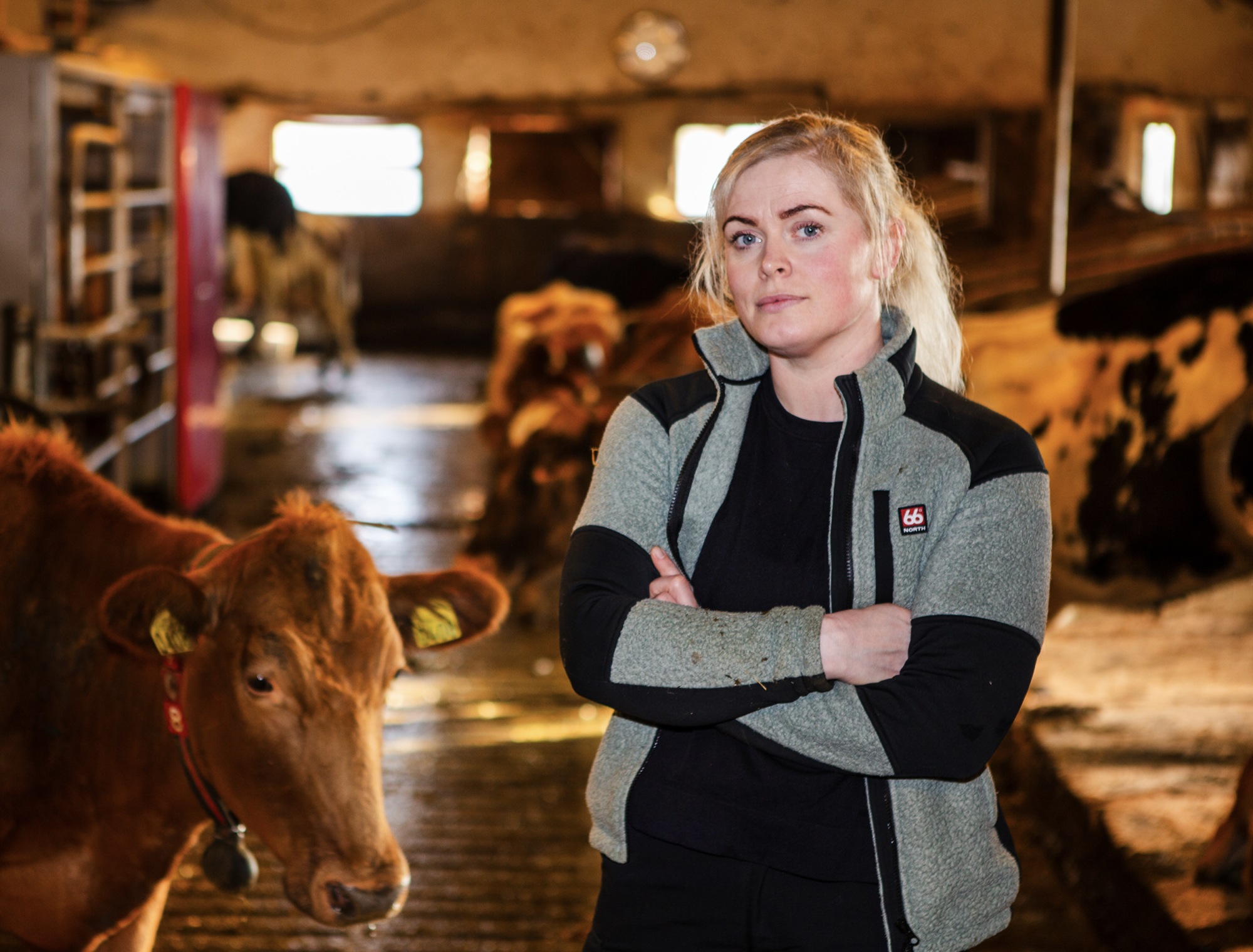 Vill byggja upp búskapinn þrátt fyrir áföll