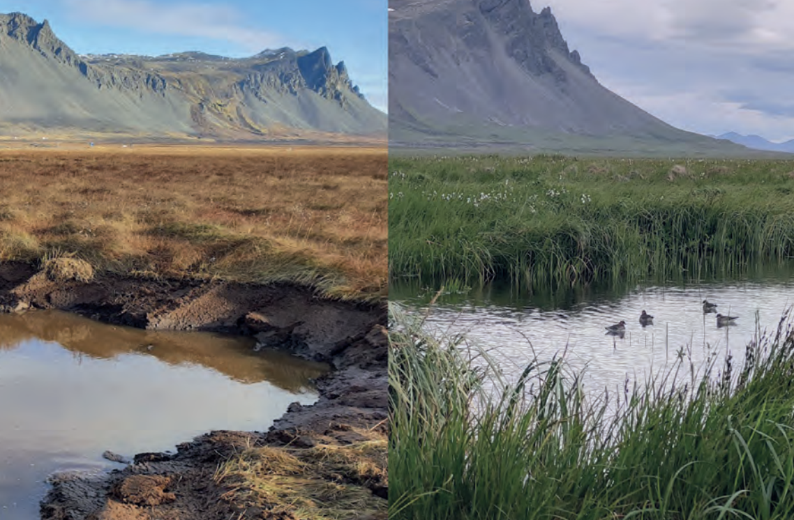 Um áveitur og endurheimt mýra