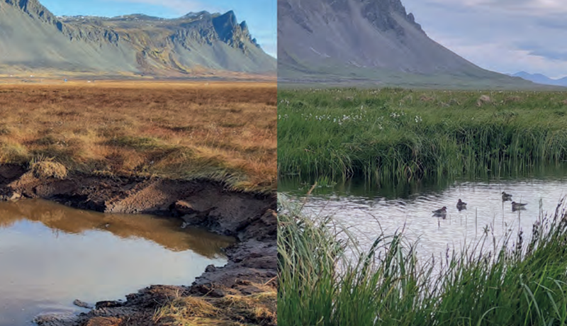 Um áveitur og endurheimt mýra