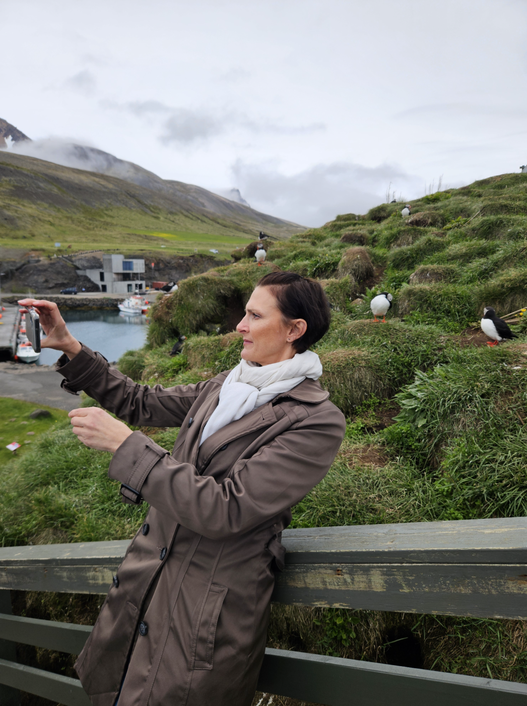 Með frumskóg lífsins í huga