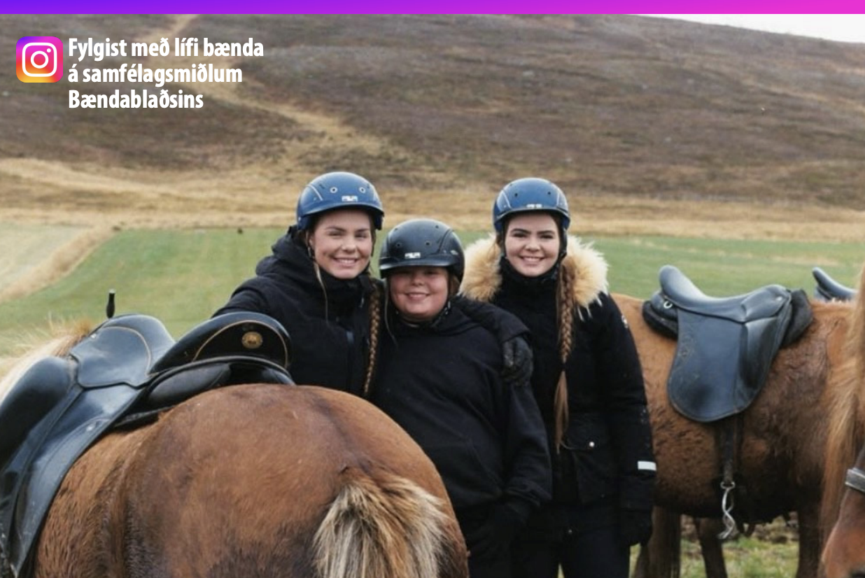 Gaman a&#240; m&#230;ta &#237; vinnuna