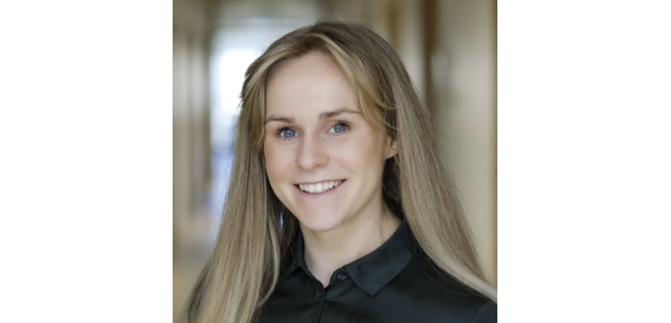 Hátt hlutfall óholls matar