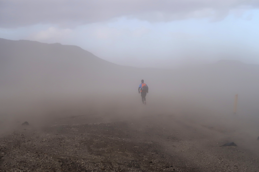 Rykstormar á Íslandi eru mjög tíðir og getur íslenska rykið borist þúsundir kílómetra, til Evrópu og norðurslóða. Einnig gætir ryks úr Sahara-eyðimörkinni á Íslandi að minnsta kosti tvisvar á ári. Þetta er meðal byltingarkenndra niðurstaða stórrar rykrannsóknar hérlendis. 
